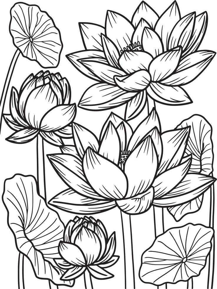 flor de lótus para colorir para adultos vetor