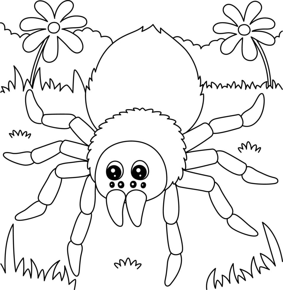 desenho de tarântula para colorir para crianças vetor