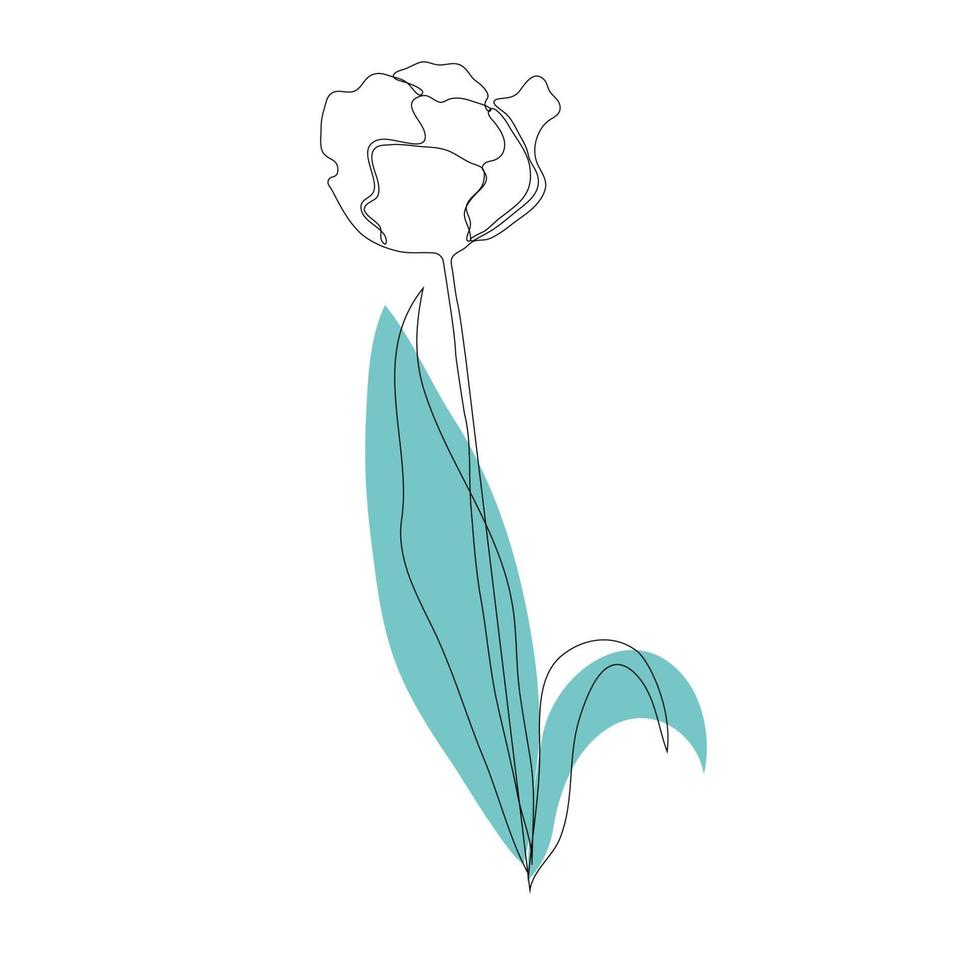 linda flor de tulipa desabrochando em estilo de desenho de arte de linha contínua. desenho linear preto minimalista isolado no fundo branco. ilustração vetorial. vetor