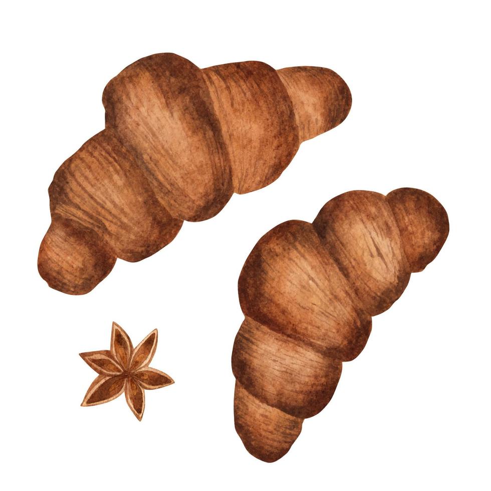 croissants isolados no fundo branco. ilustração em aquarela vetor