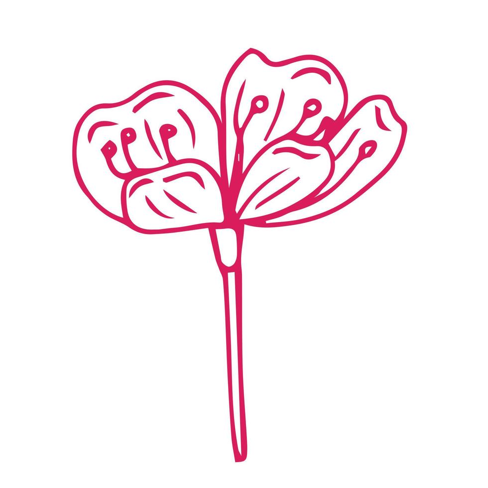 ícone de doodle de flor de sakura. linha traseira isolada em branco. desenho floral de contorno de uma linha.ilustração vetorial vetor