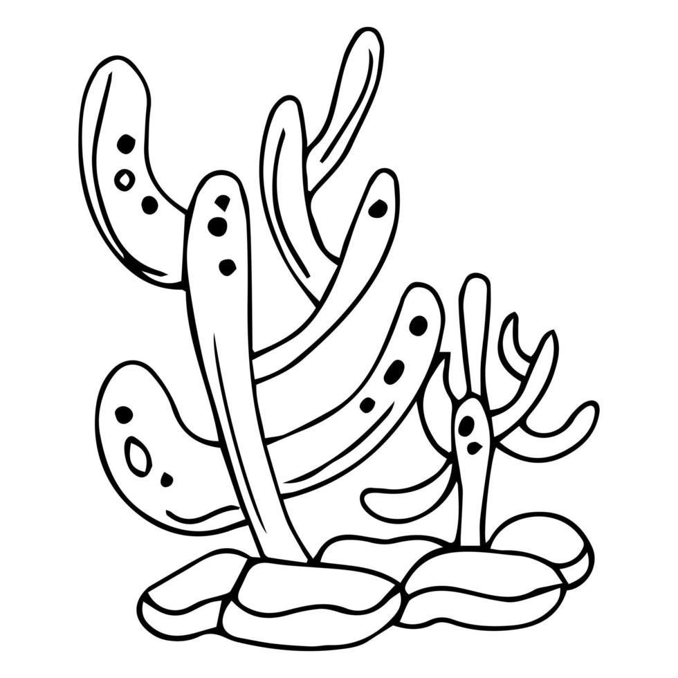 mão desenhada ilustração de esboço de doodle mar preto e branco. os corais. vetor
