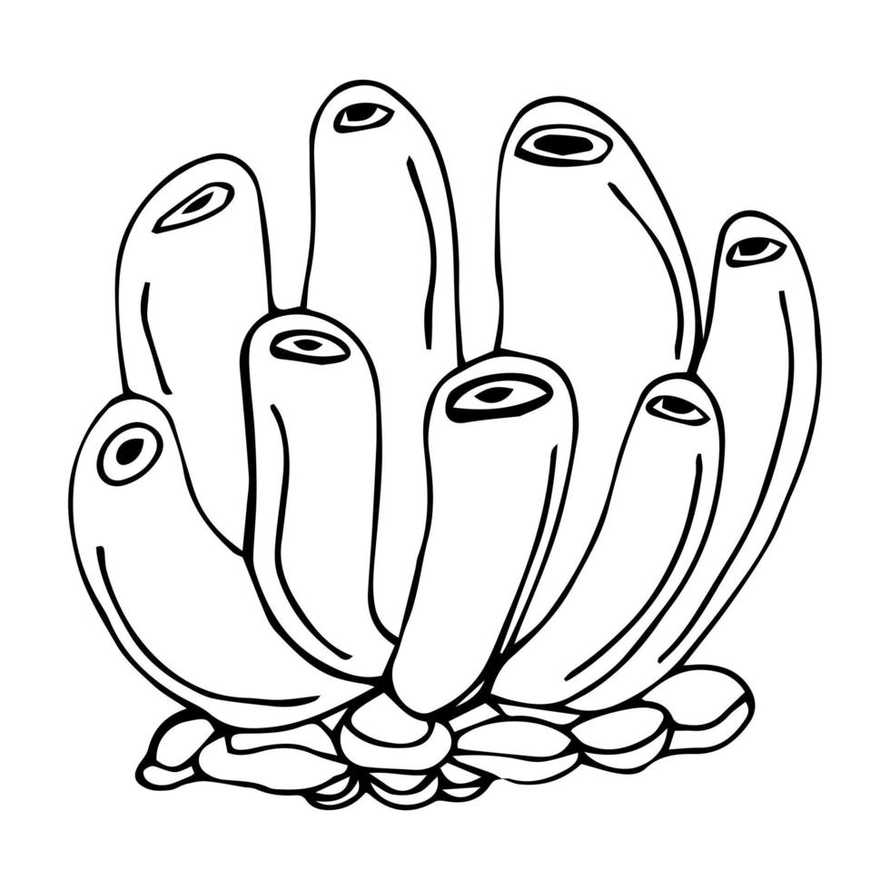 mão desenhada ilustração de esboço de doodle mar preto e branco. os corais. vetor