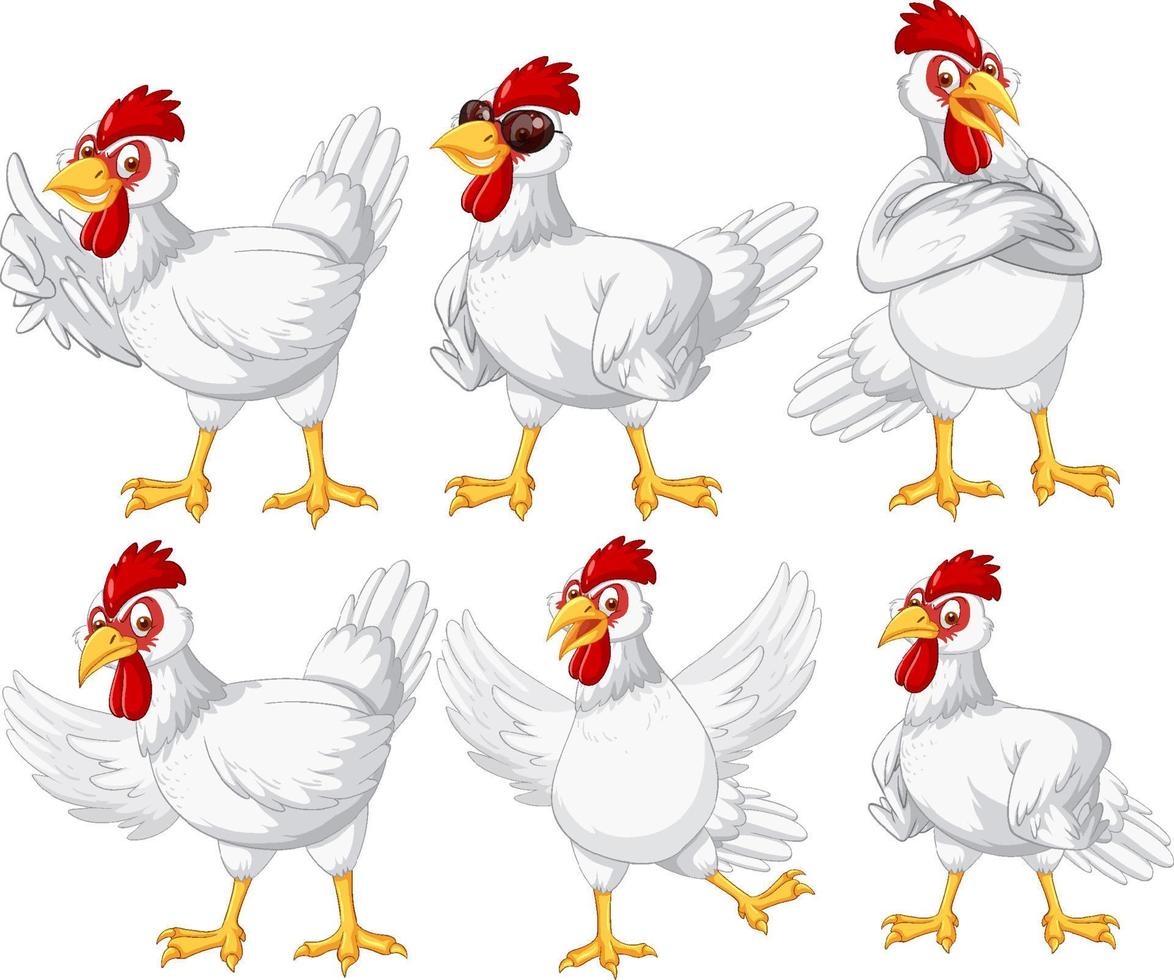 conjunto de diferentes galinhas de fazenda em estilo cartoon vetor