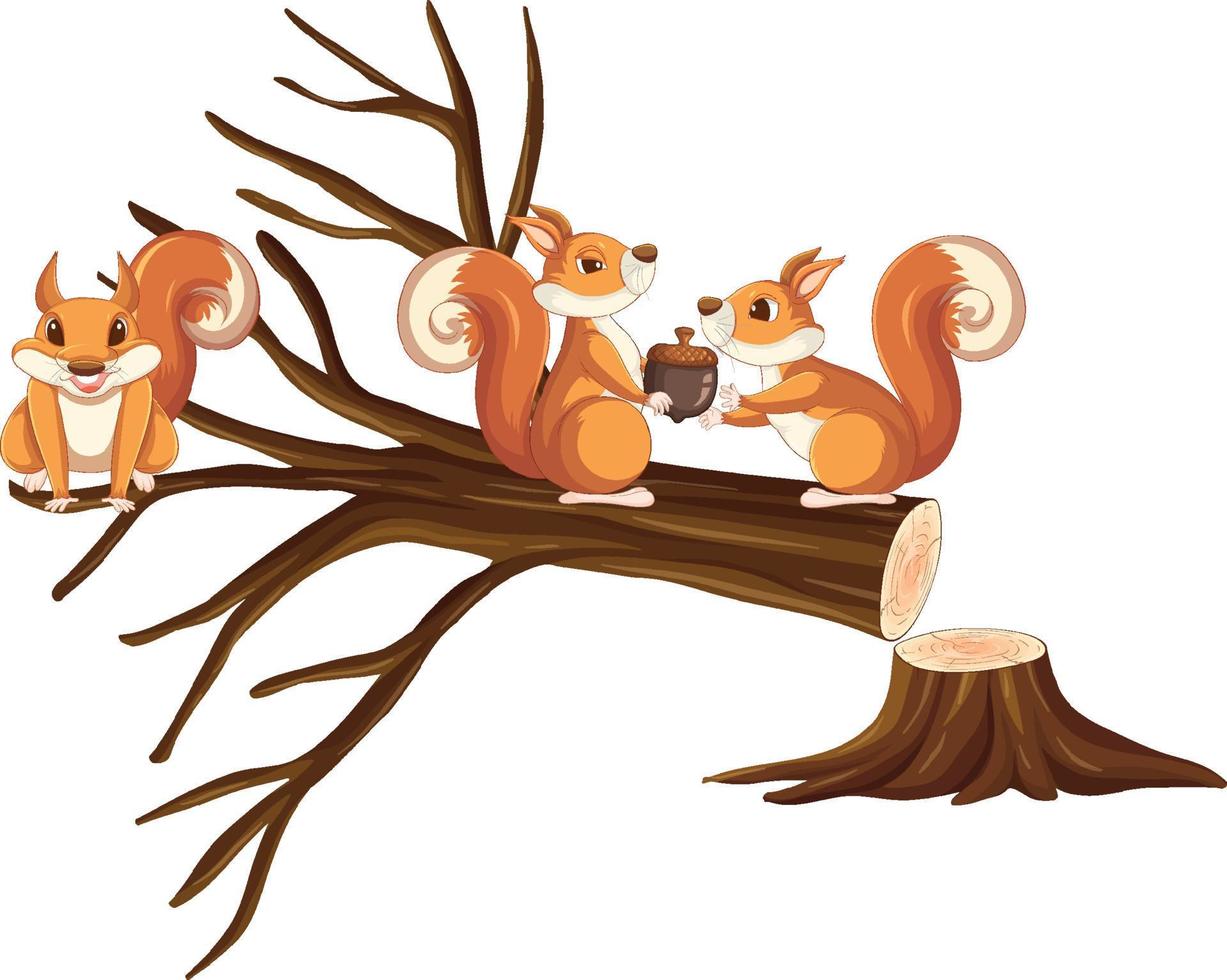 três esquilos sentados no tronco vetor