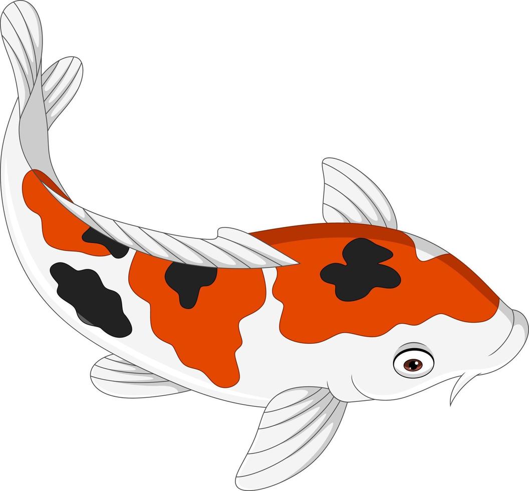 peixe koi bonito dos desenhos animados no fundo branco vetor