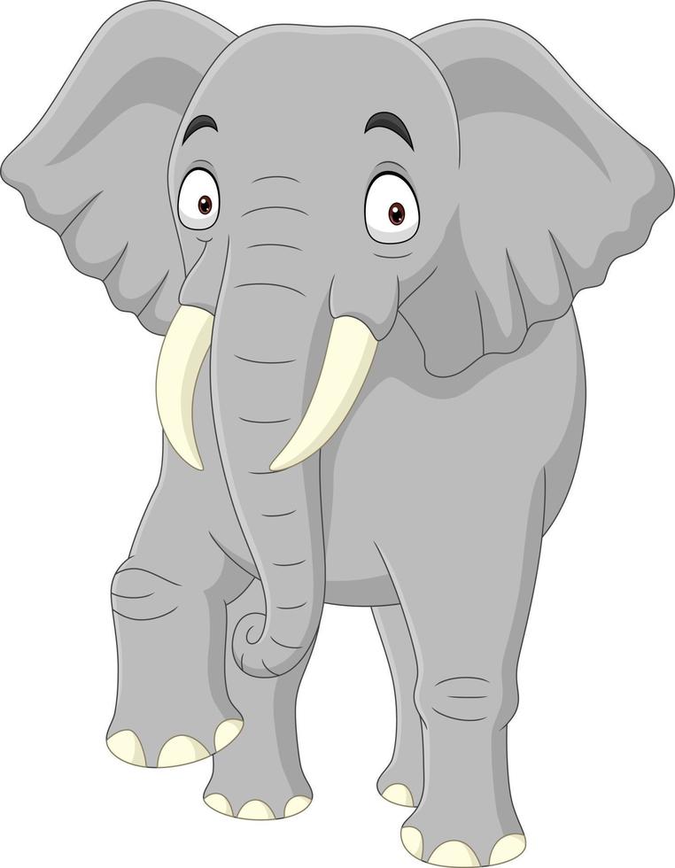 elefante de desenho animado isolado no fundo branco vetor