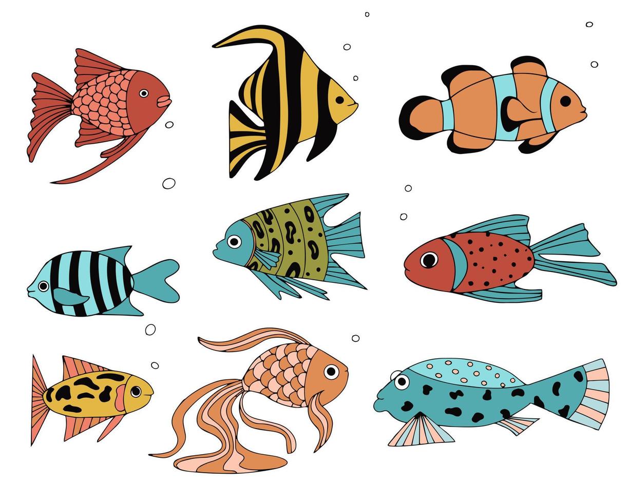 conjunto de peixes exóticos de recifes de corais. animais de natação subaquática. peixes tropicais para o aquário. elementos vetoriais para design vetor