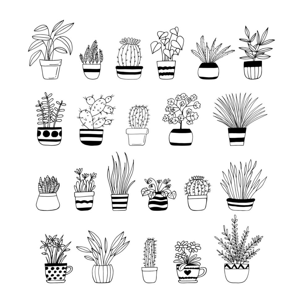 plantas de casa em vasos definir ícone desenhado à mão. , minimalismo, escandinavo, monocromático, flores de plantas de adesivo nórdico vetor