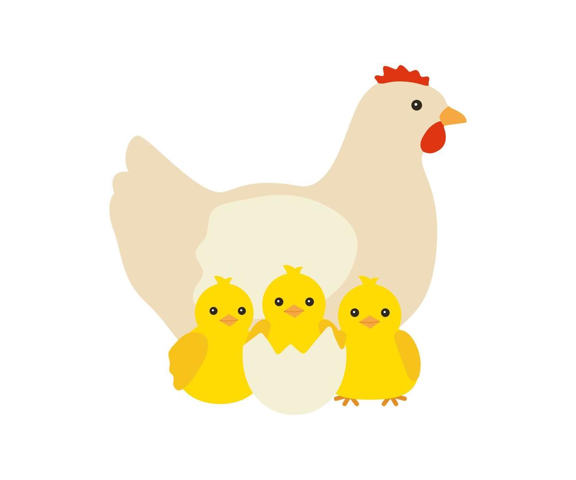 família de galinhas, mãe de galinha e seus pintinhos amarelos. frango com ninhada, símbolo de páscoa. família de aves domésticas, aves de capoeira. ilustração vetorial vetor