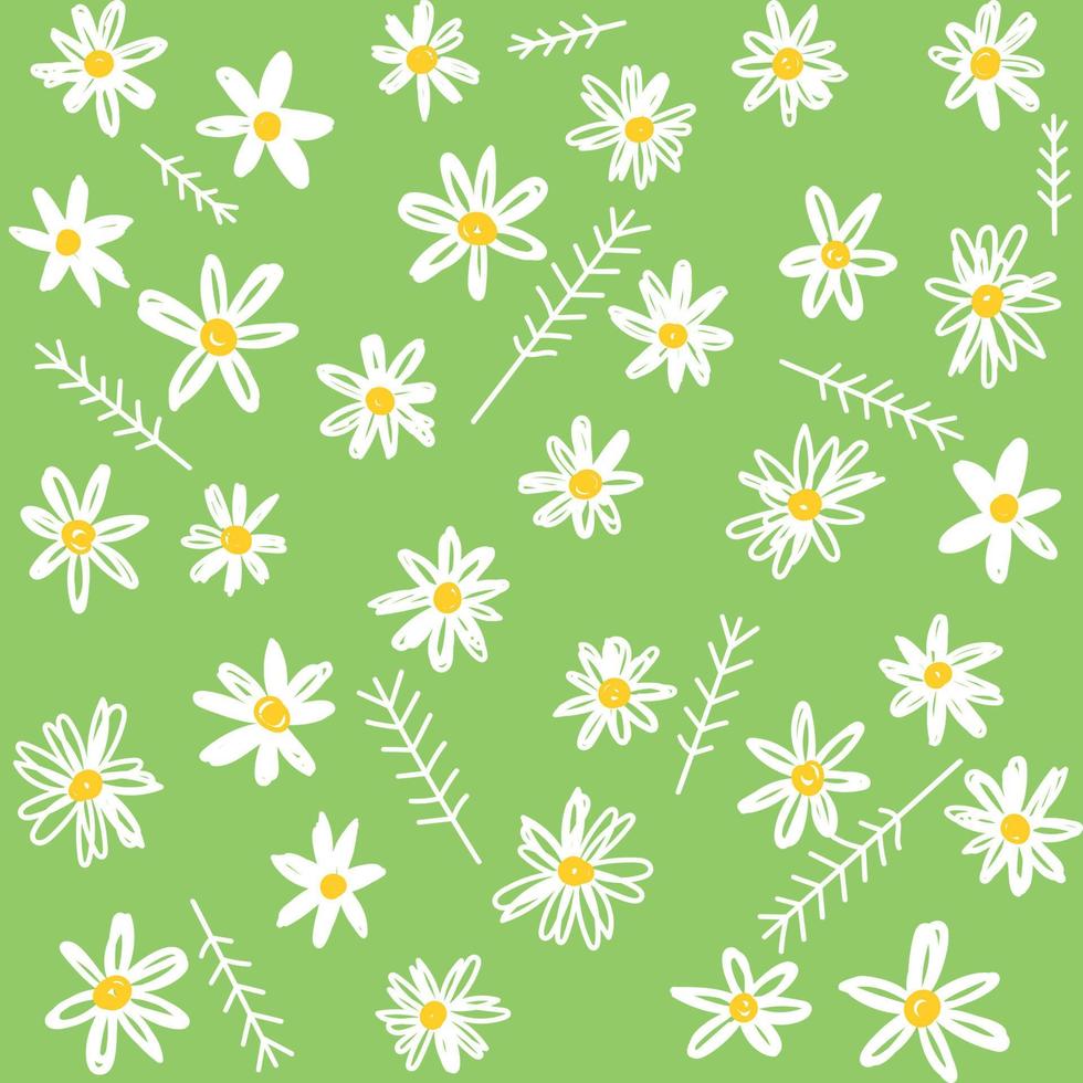 padrão floral de camomila em pequenas flores brancas. fundo sem costura floral de margarida para estampas de moda. textura de vetor sem costura. buquê de primavera em estilo de desenho em verde