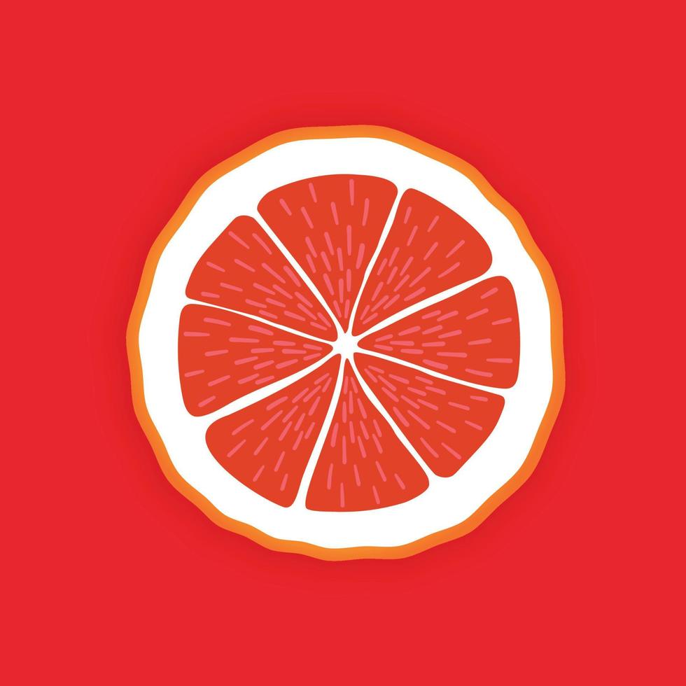 vetor fatia redonda madura fresca de frutas de toranja. comida saudável. fundo vermelho cítrico colorido