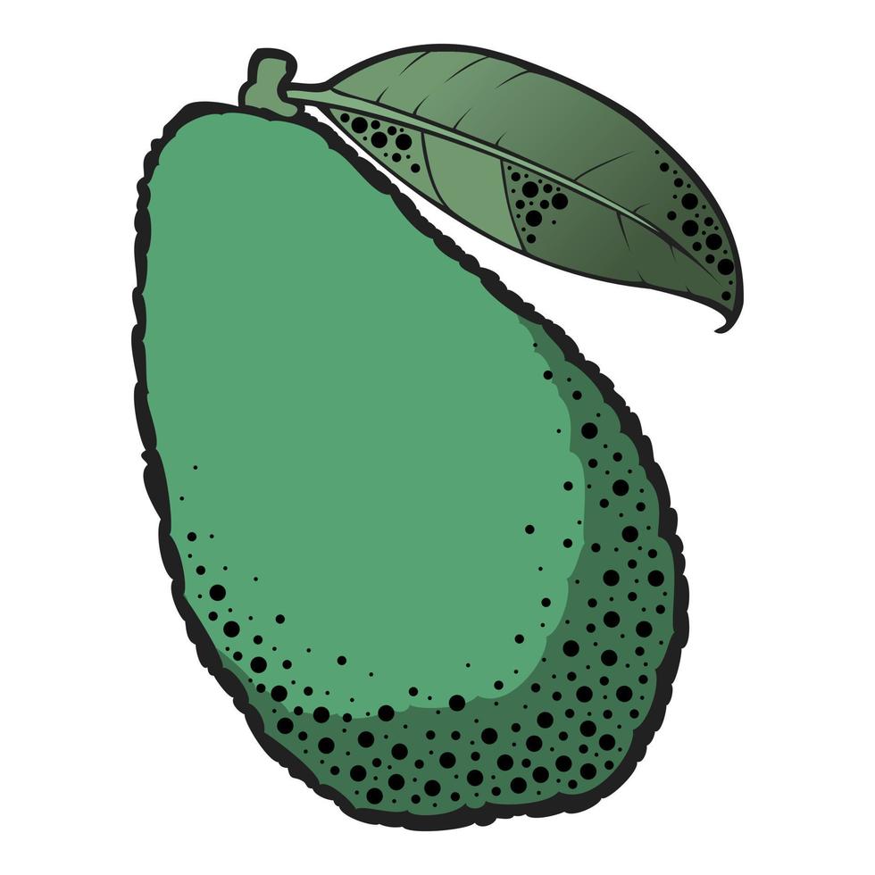 fruta de abacate verde com folhas em um fundo branco vetor
