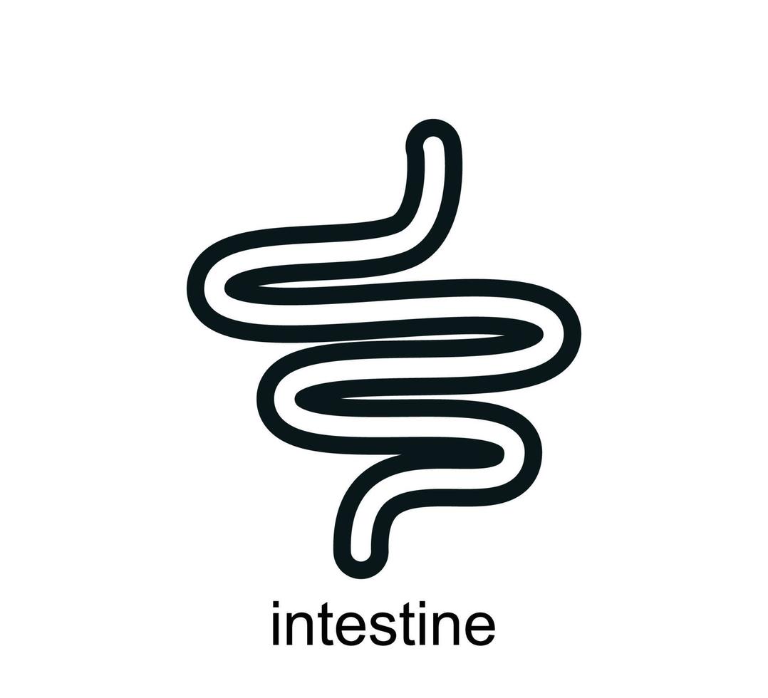 modelo de design de logotipo de vetor de ícone do intestino