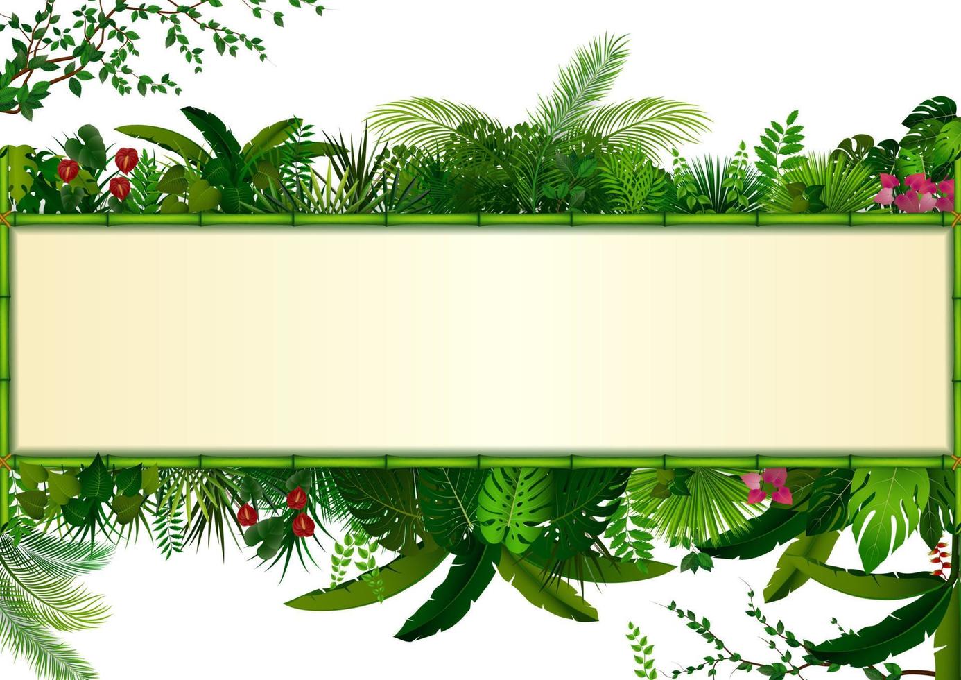 fundo de folhas tropicais. plantas retangulares emolduram bambu com espaço para texto. folhagem tropical com banner horizontal vetor