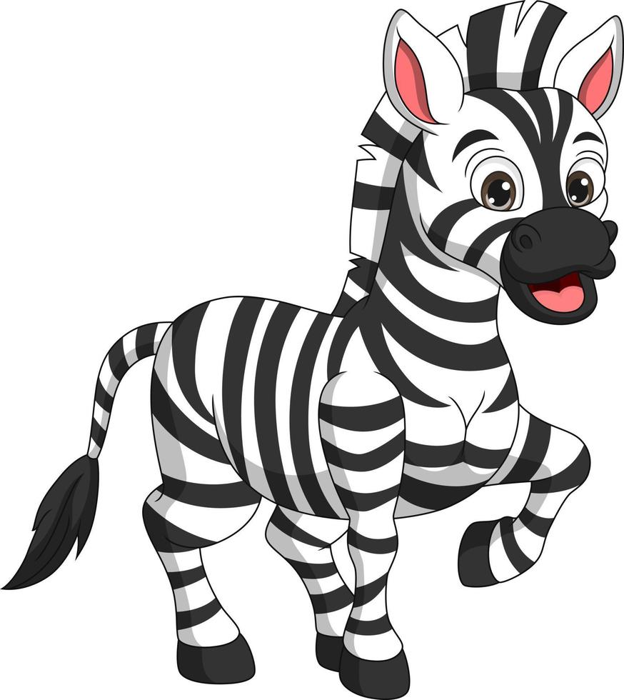 desenho de zebra bonito em fundo branco vetor