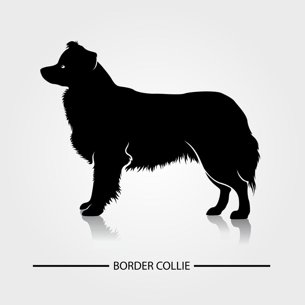 silhueta de vetor de cão border collie. silhuetas negras de raças de cães.