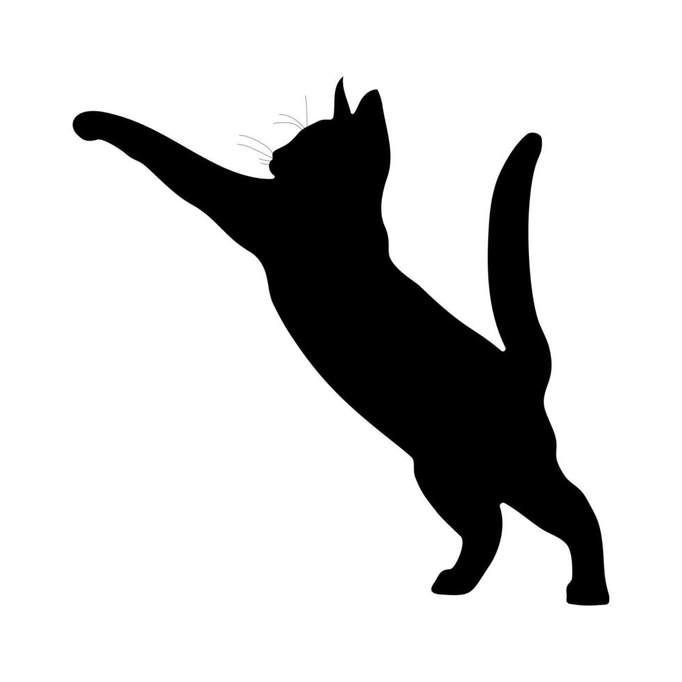 silhueta preta de um gato em um fundo branco. imagem vetorial. vetor