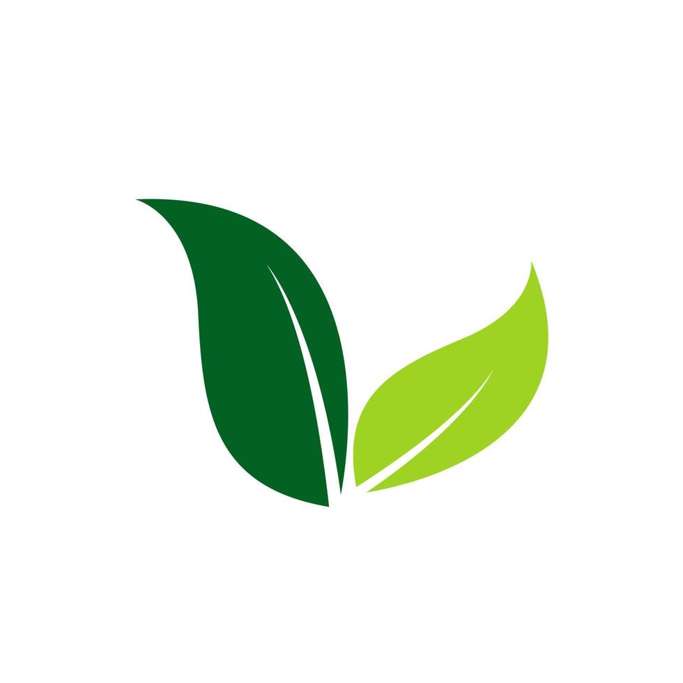 uma folha verde redondo design de planta abstrata, folha verde natural para bio símbolo ou ícone no fundo branco, vetor, ilustração. vetor