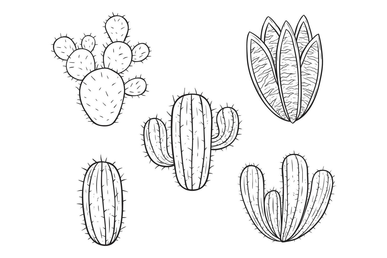 coleção de cactos com estilo desenhado à mão em fundo branco vetor