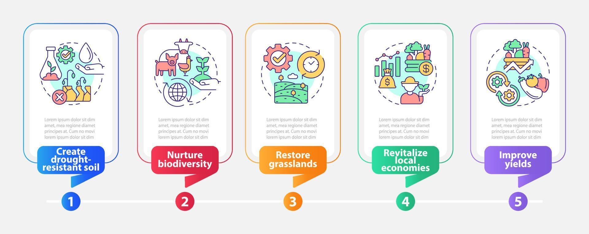 mude para o modelo de infográfico de retângulo de cultura regenerativa. visualização de dados com 5 passos. gráfico de informações da linha do tempo do processo. layout de fluxo de trabalho com ícones de linha. uma miríade de fontes regulares pró-negrito usadas vetor