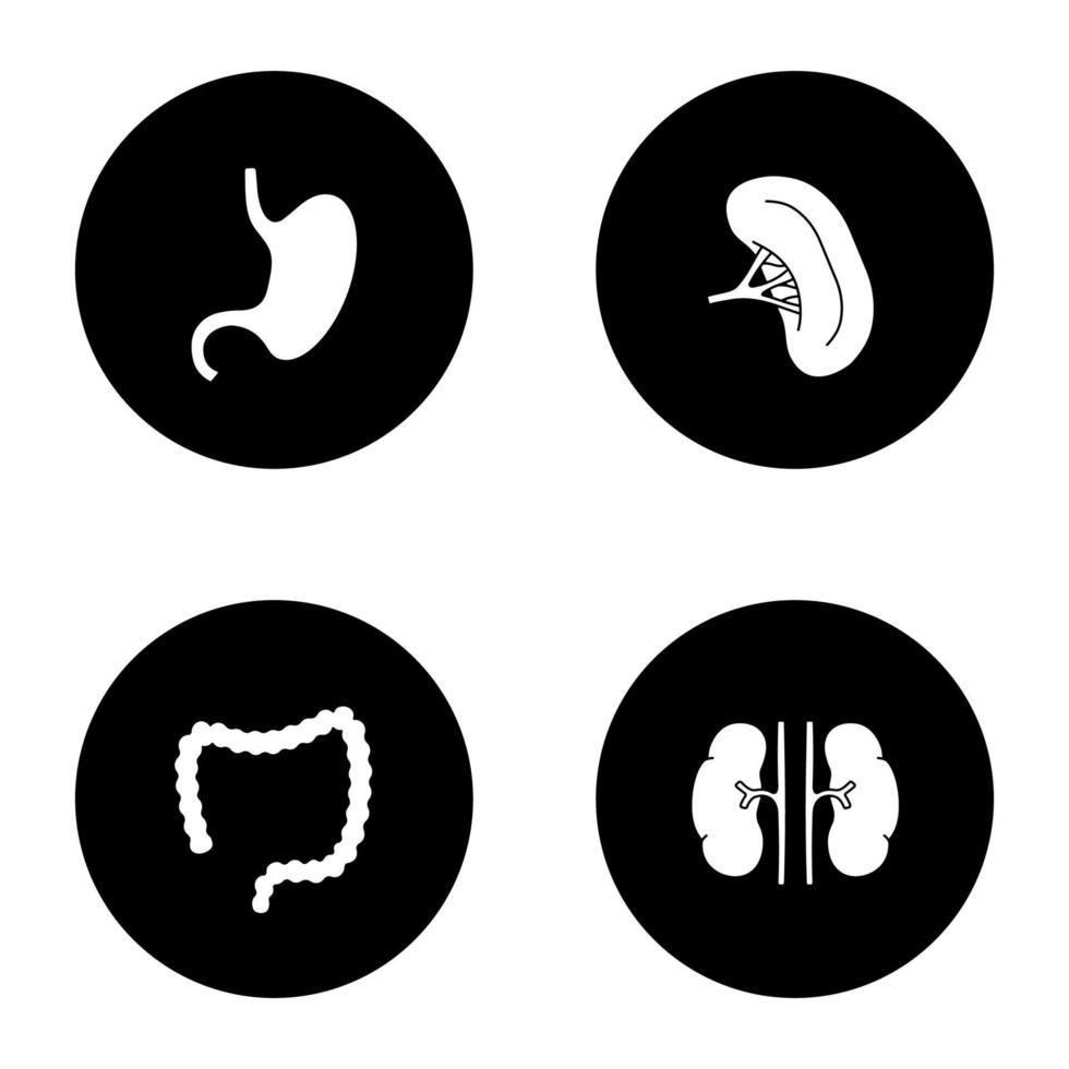 conjunto de ícones de glifo de órgãos internos. estômago, rins, intestino grosso, baço. ilustrações vetoriais de silhuetas brancas em círculos pretos vetor