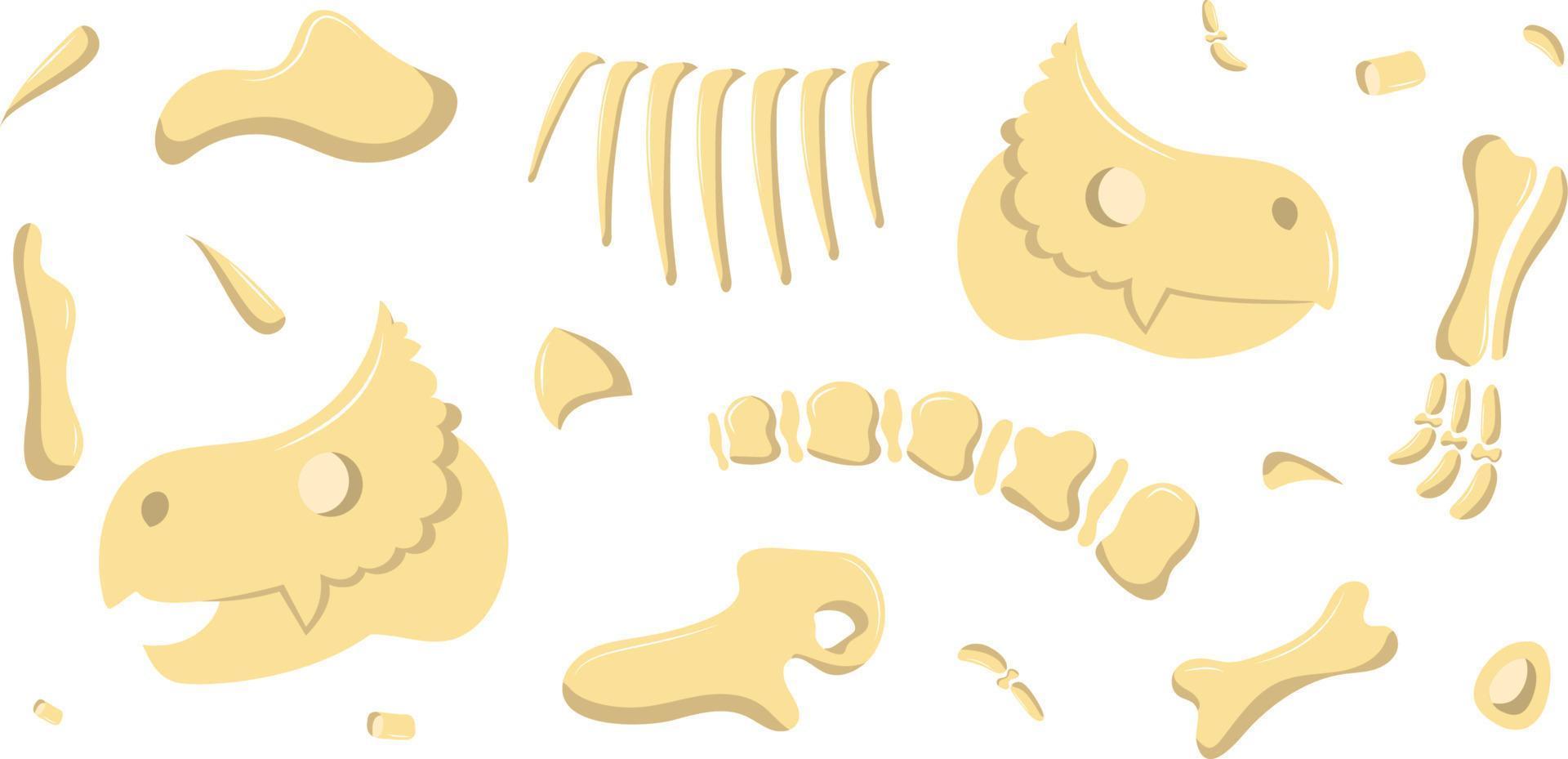 ossos de dinossauro são divididos em partes vetor