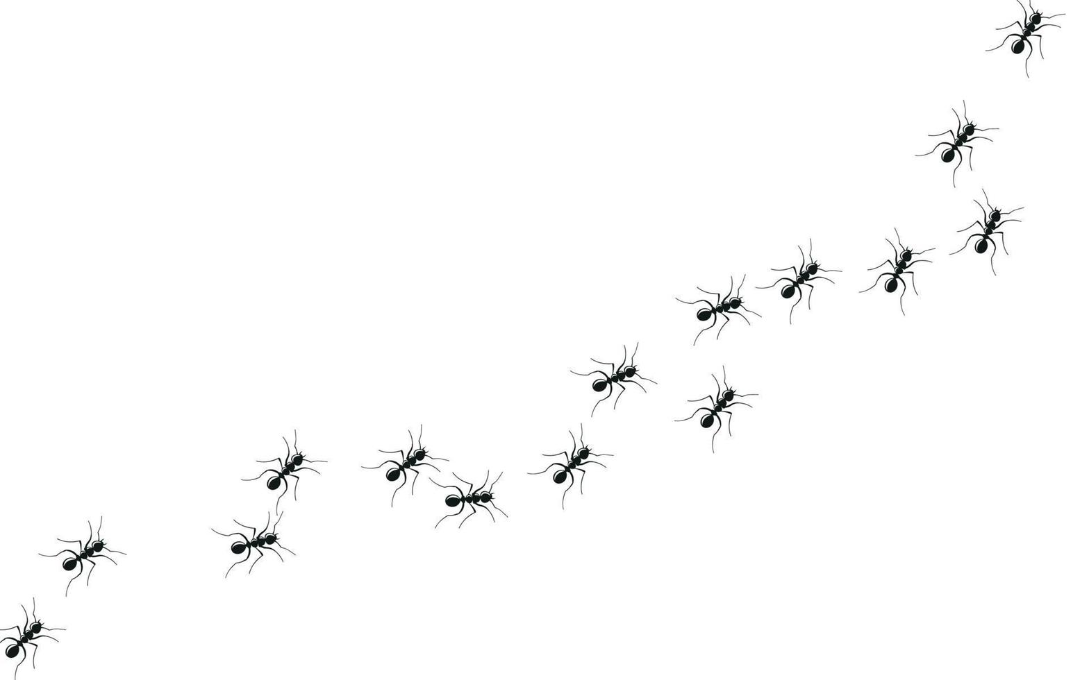 formigas marchando em busca de comida vetor