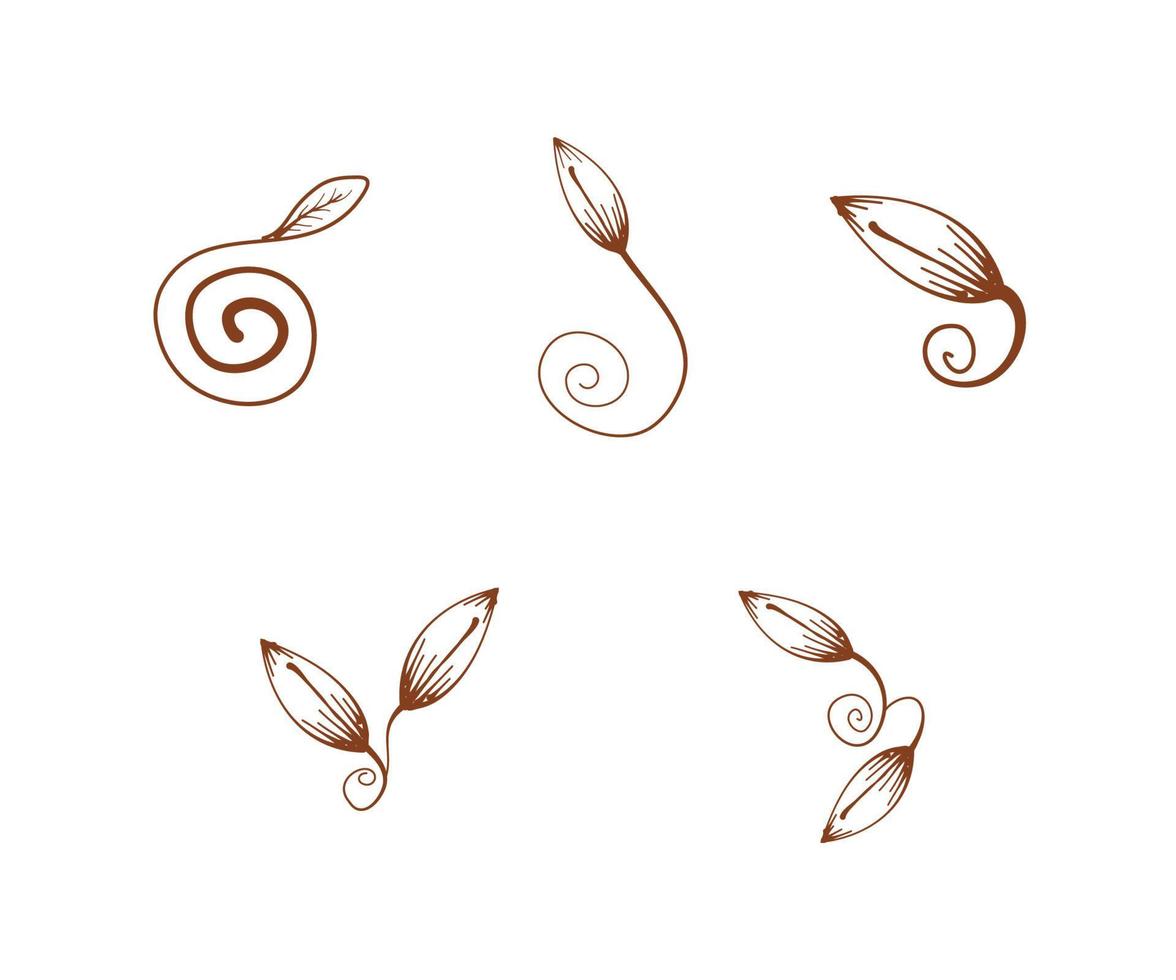 elementos decorativos de design floral, planta espiral, ornamento de folha em espiral, design de elemento de canto, ornamento de natureza de fronteira vetor