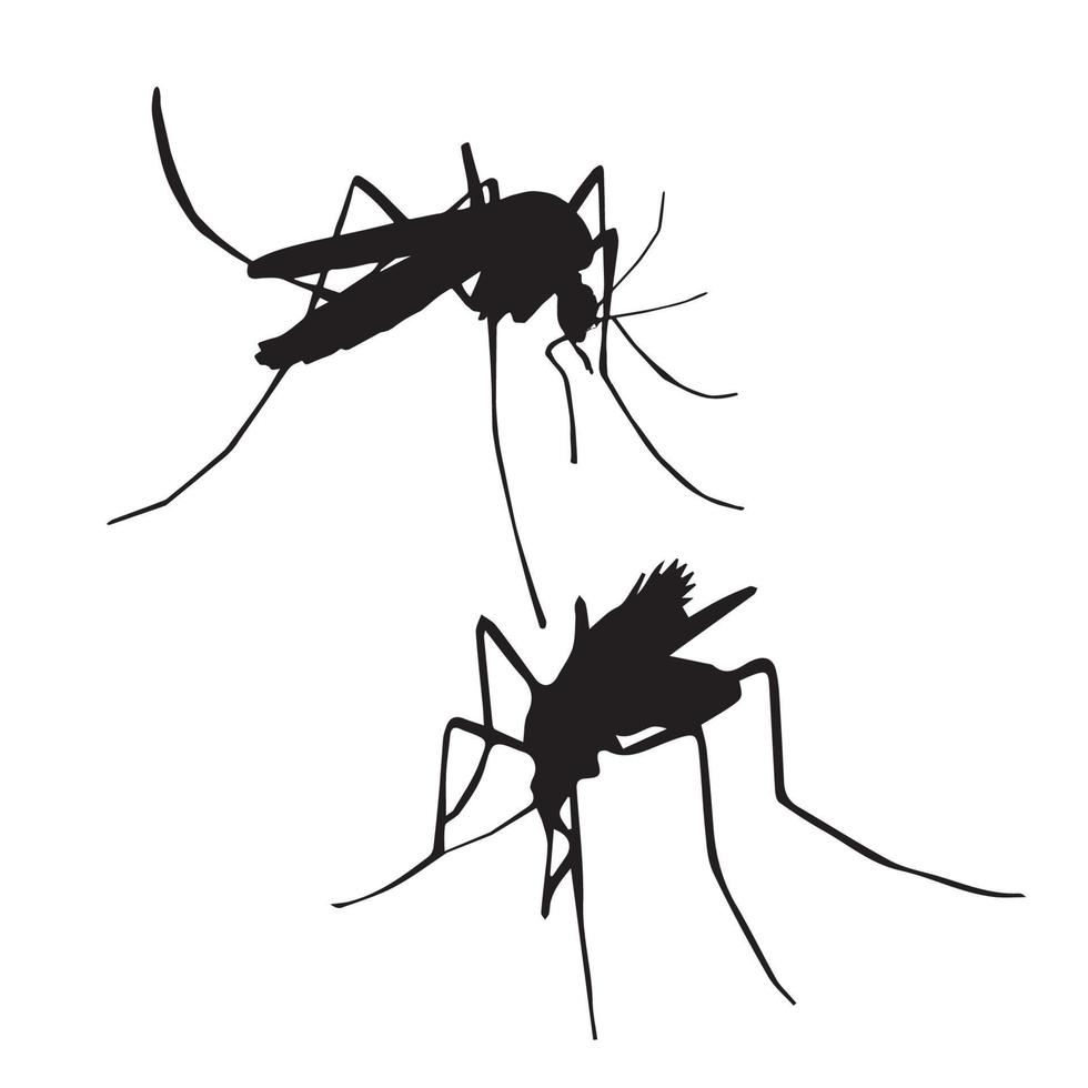 arte de silhueta de mosquito vetor
