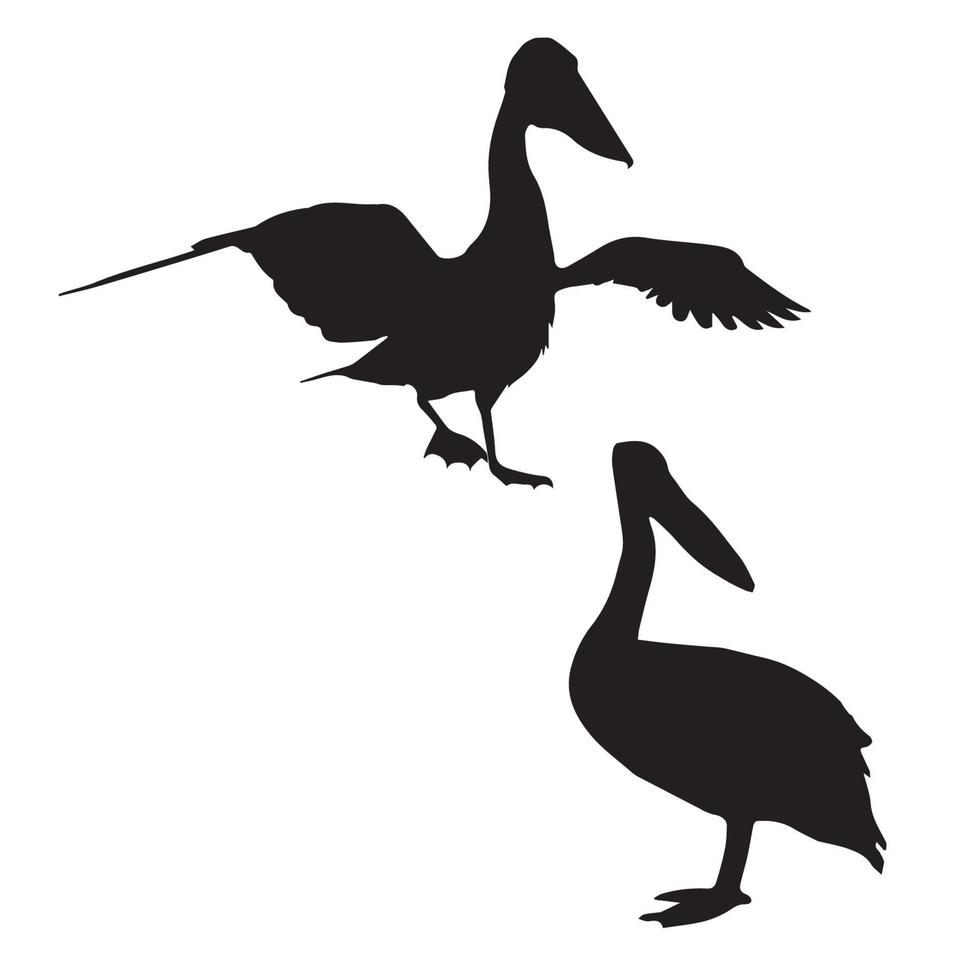 arte de silhueta de pelicano vetor