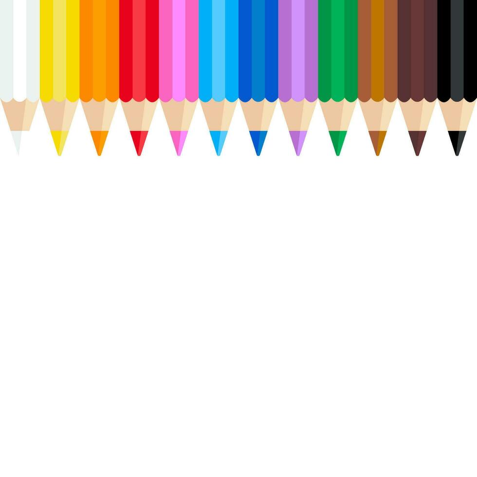 lápis de cor vetorial dispostos ordenadamente no fundo branco vetor