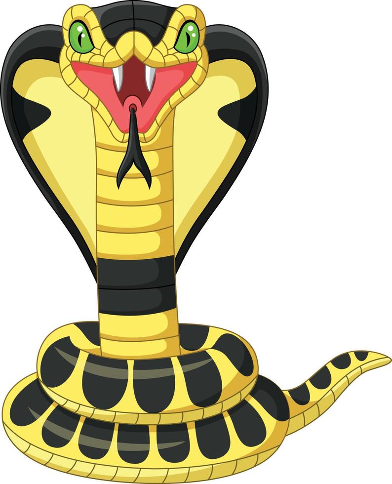 mascote de cobra cobra rei dos desenhos animados vetor
