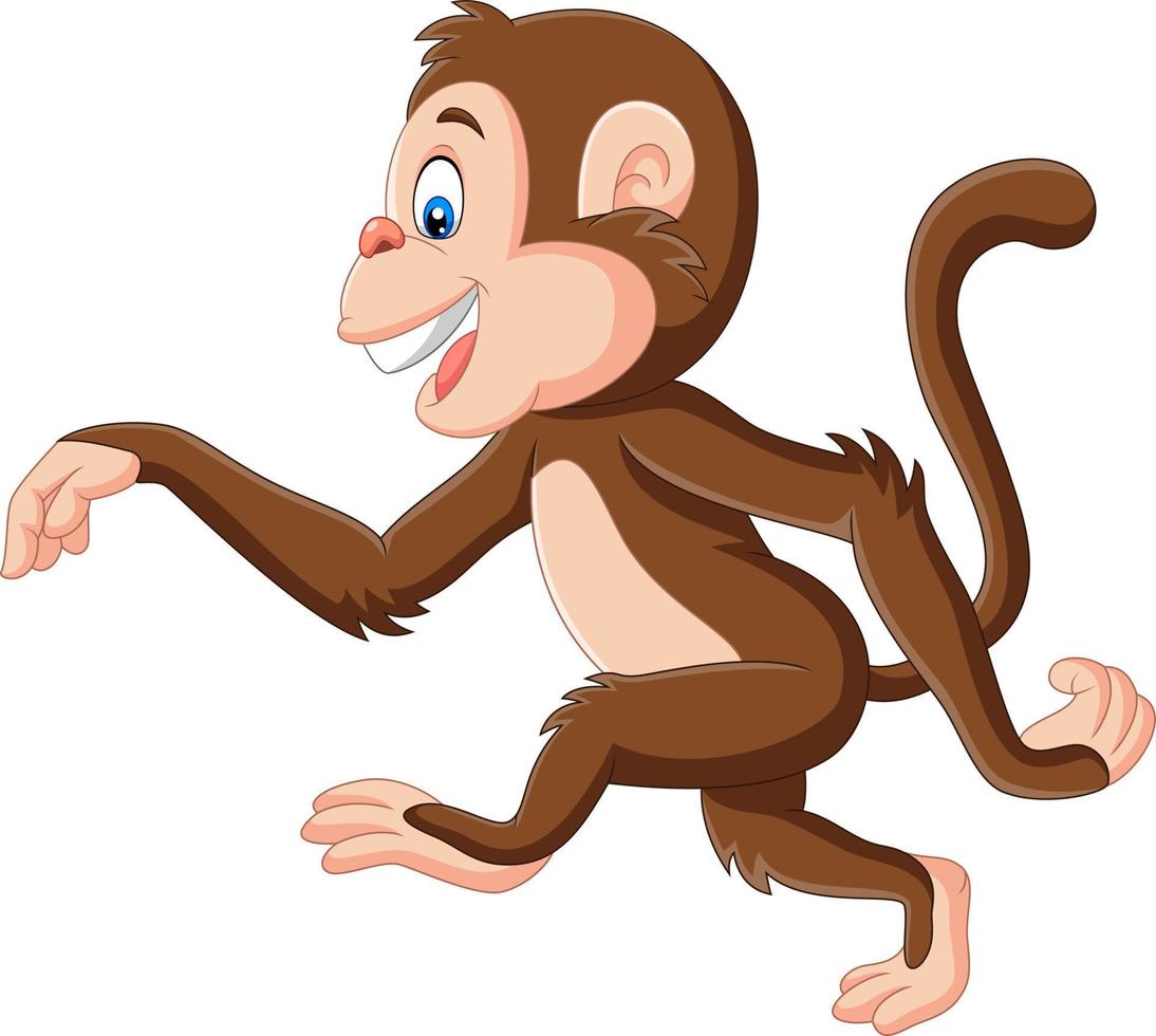 macaco engraçado dos desenhos animados andando no fundo branco vetor