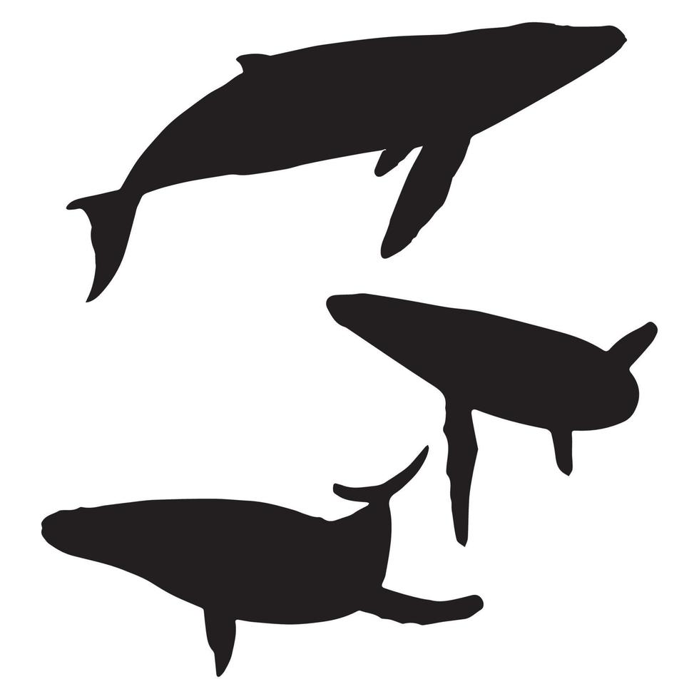 arte de silhueta de baleia azul vetor
