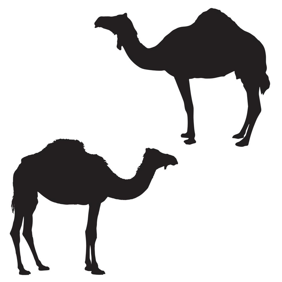 arte de silhueta de camelo vetor