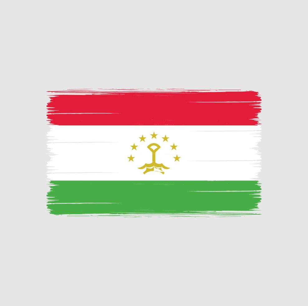 pincel de bandeira do tajiquistão. bandeira nacional vetor