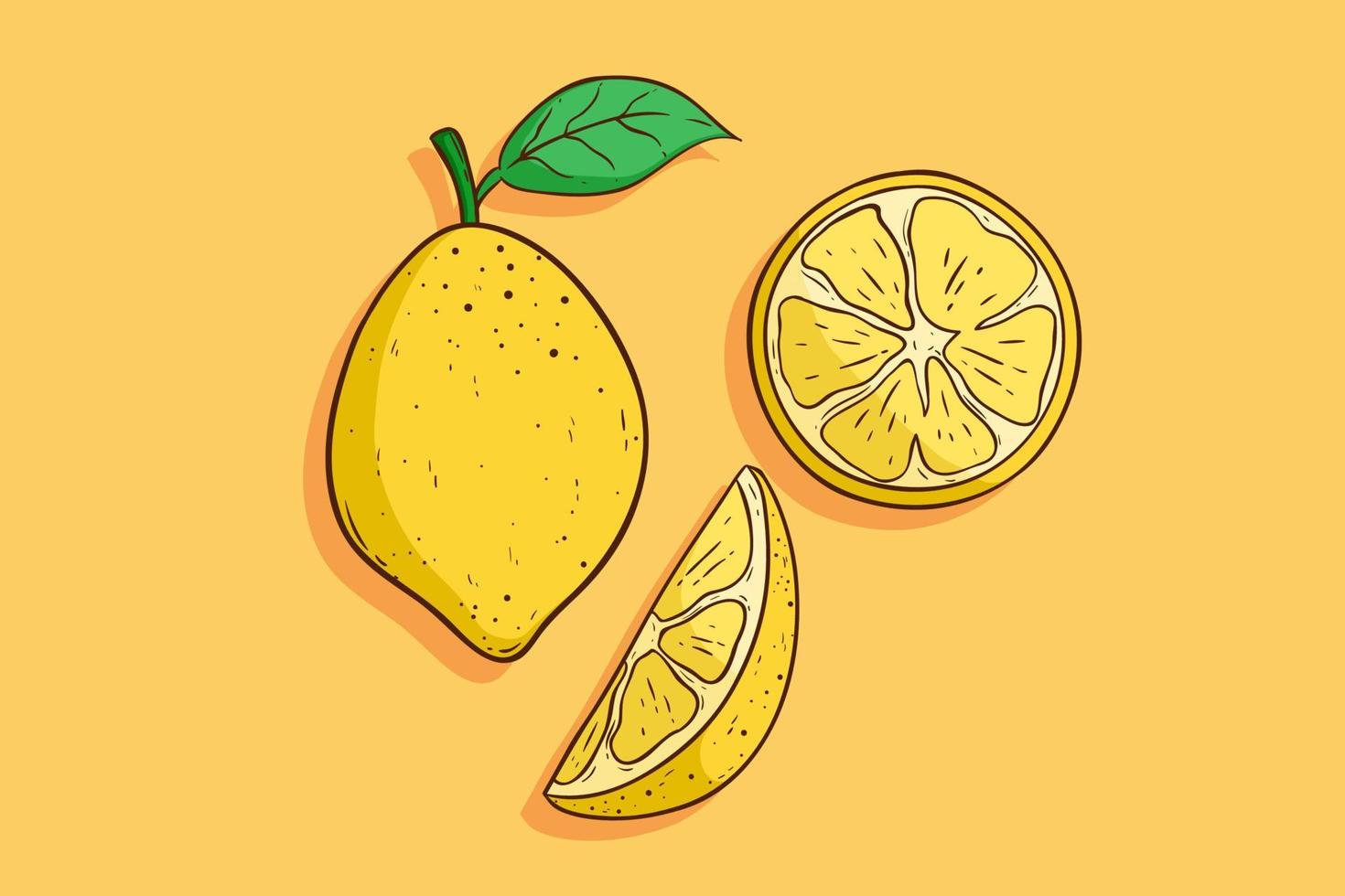 coleção de frutas de limão com estilo colorido desenhado à mão vetor