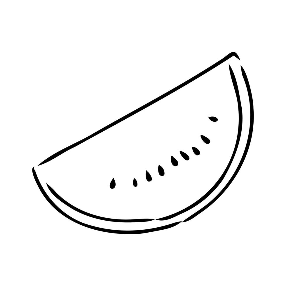 desenho vetorial de melancia vetor