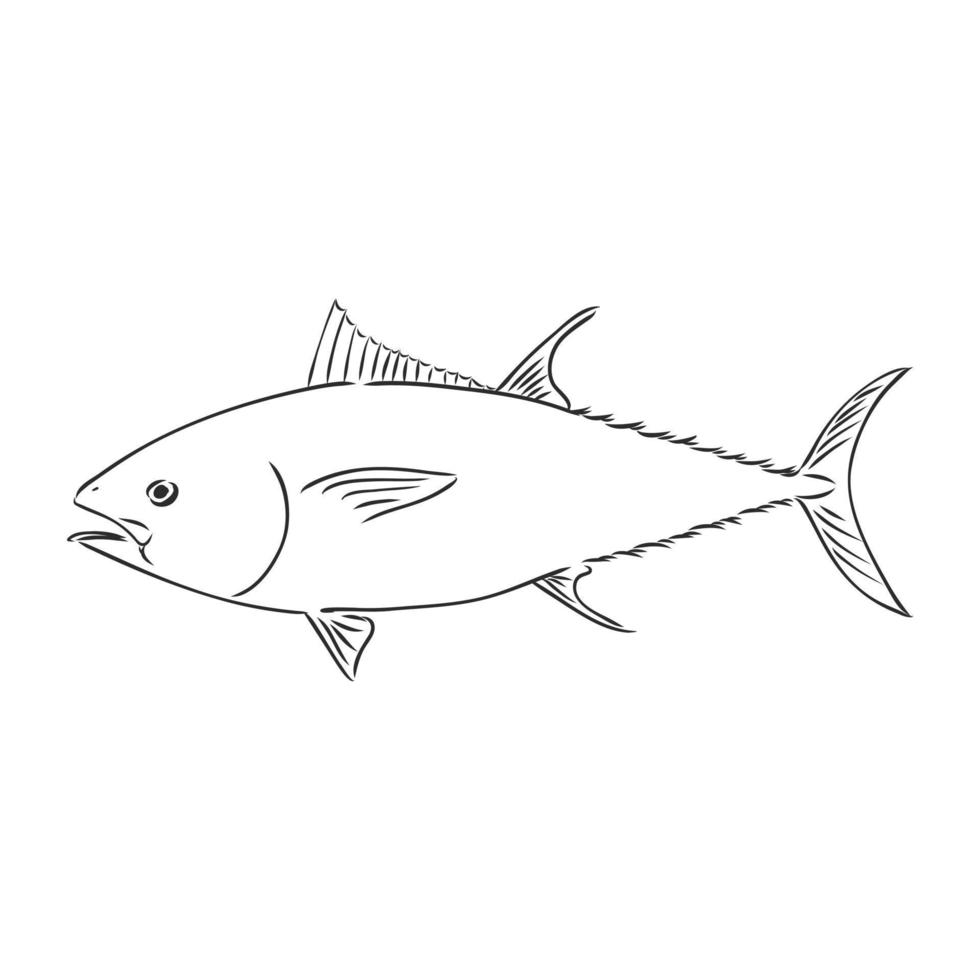 desenho vetorial de atum vetor