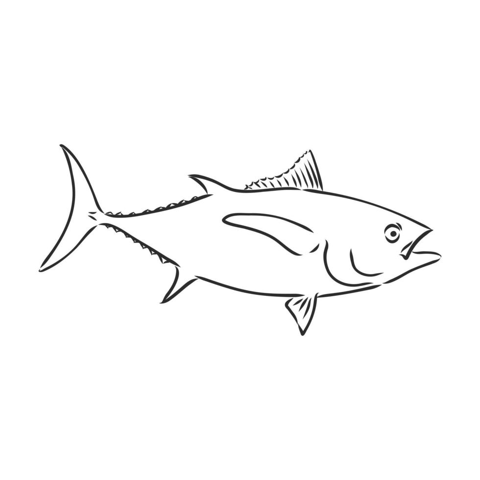 desenho vetorial de atum vetor