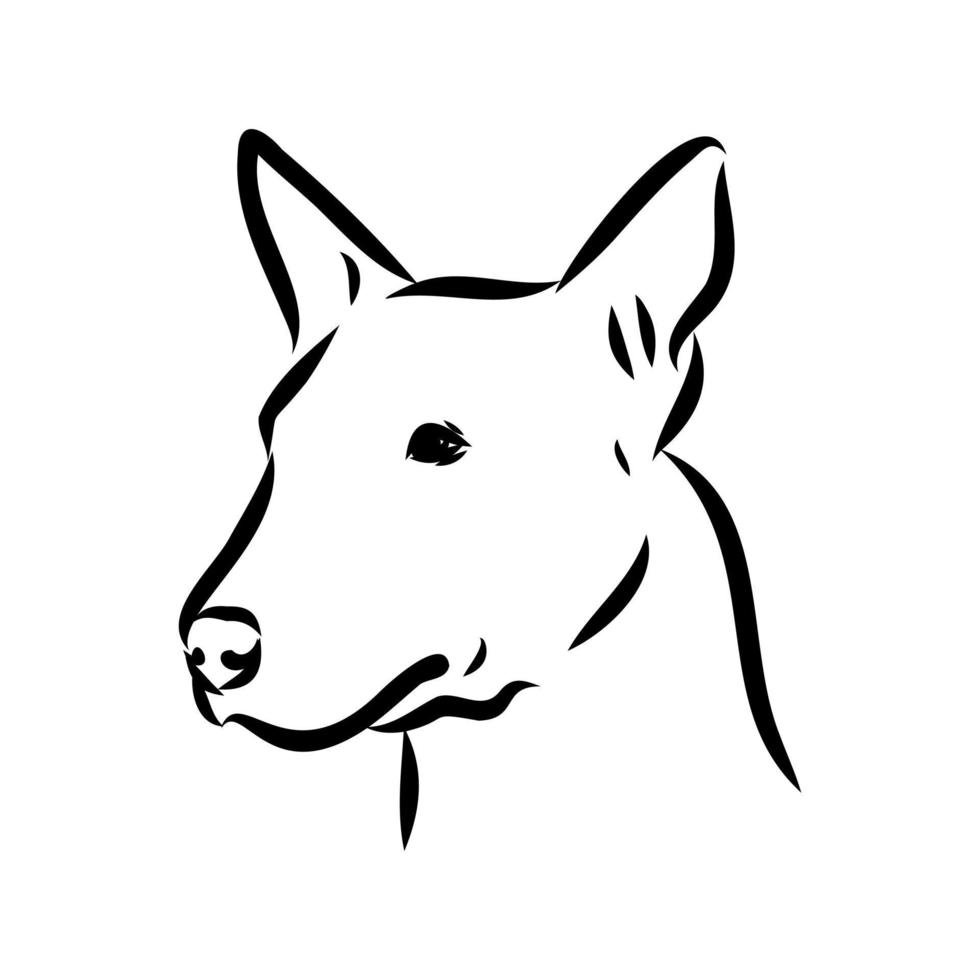desenho vetorial de bull terrier vetor