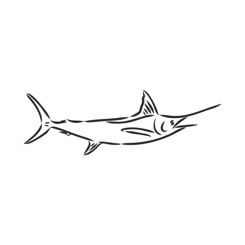 desenho vetorial de peixe marlin vetor