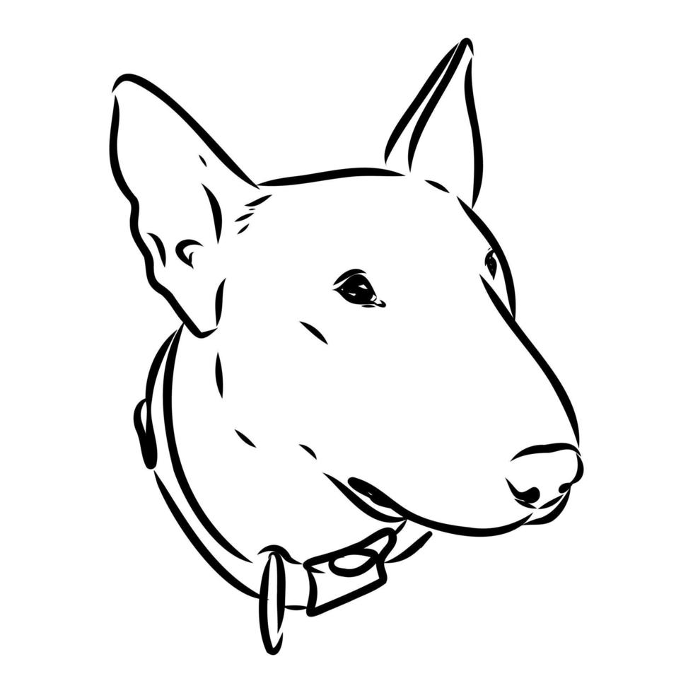desenho vetorial de bull terrier vetor