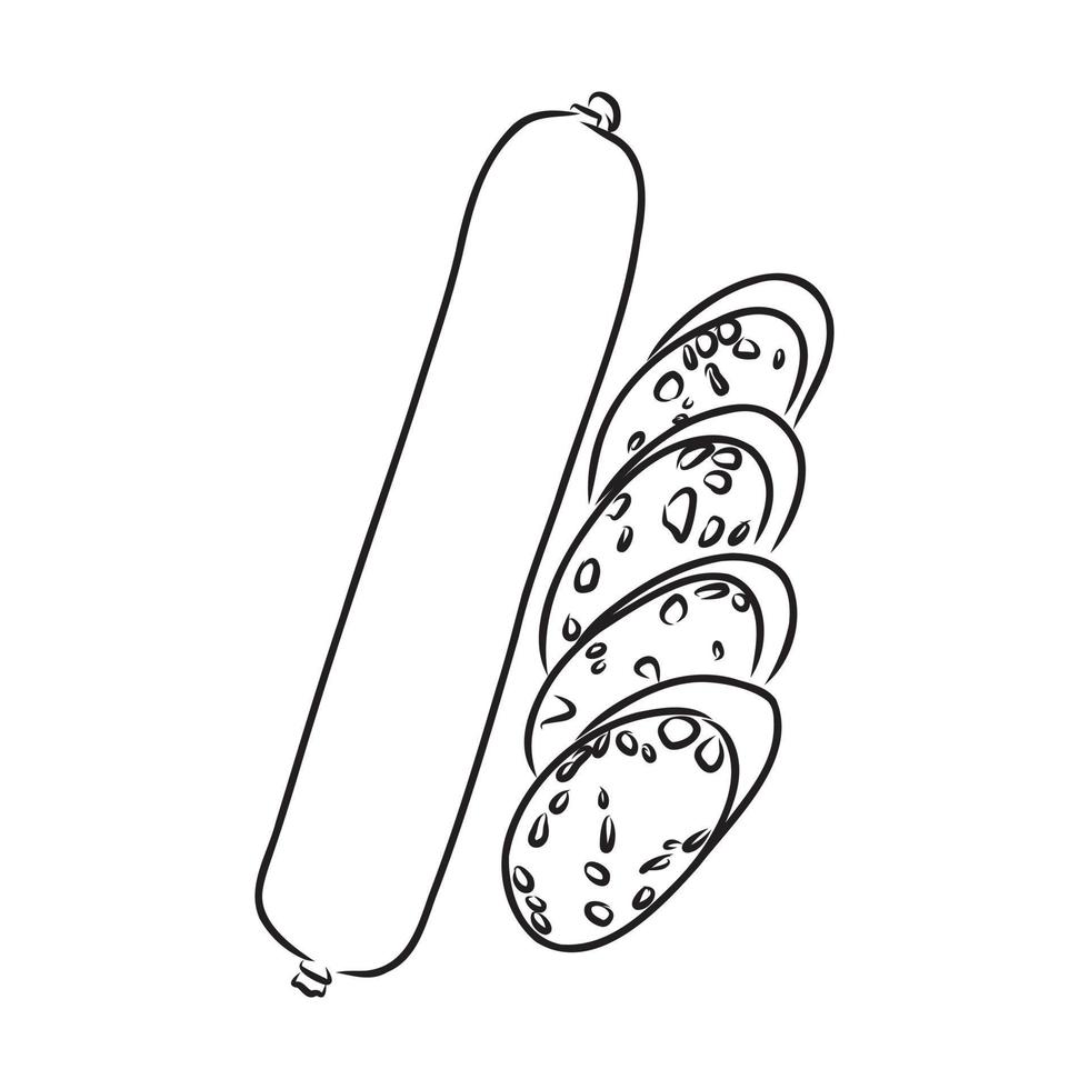 desenho vetorial de salsicha vetor