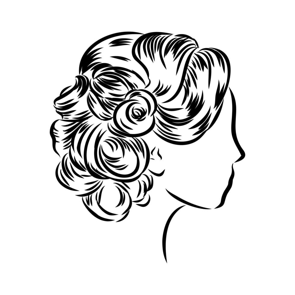 desenho de vetor de penteado bonito