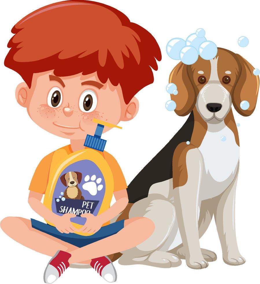 um menino lavando seu cachorro beagle no fundo branco vetor