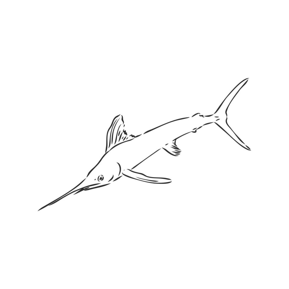 desenho vetorial de peixe marlin vetor