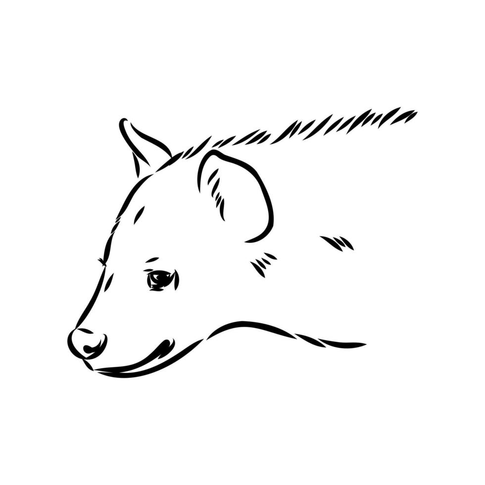 desenho vetorial de hiena vetor