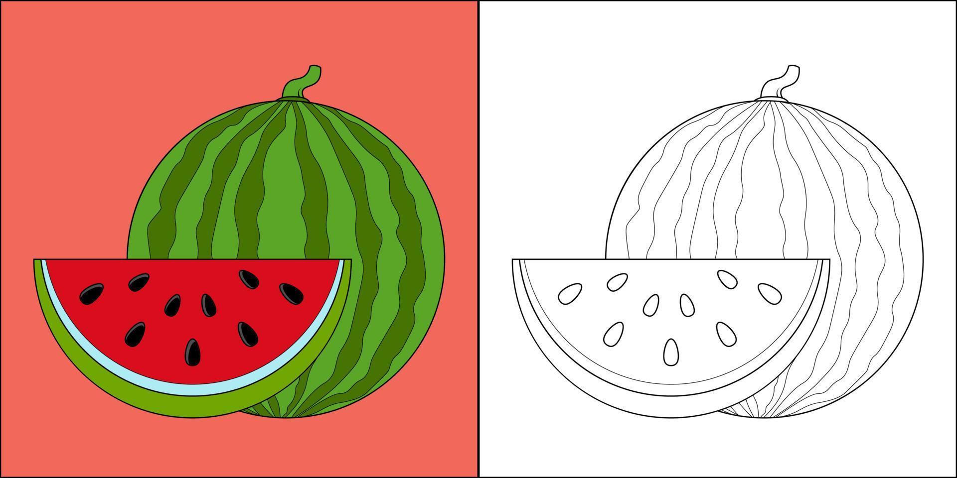 melancia fresca adequada para ilustração vetorial de página para colorir infantil vetor